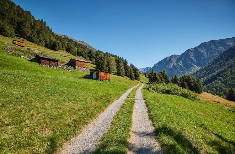 Bergmahderweg